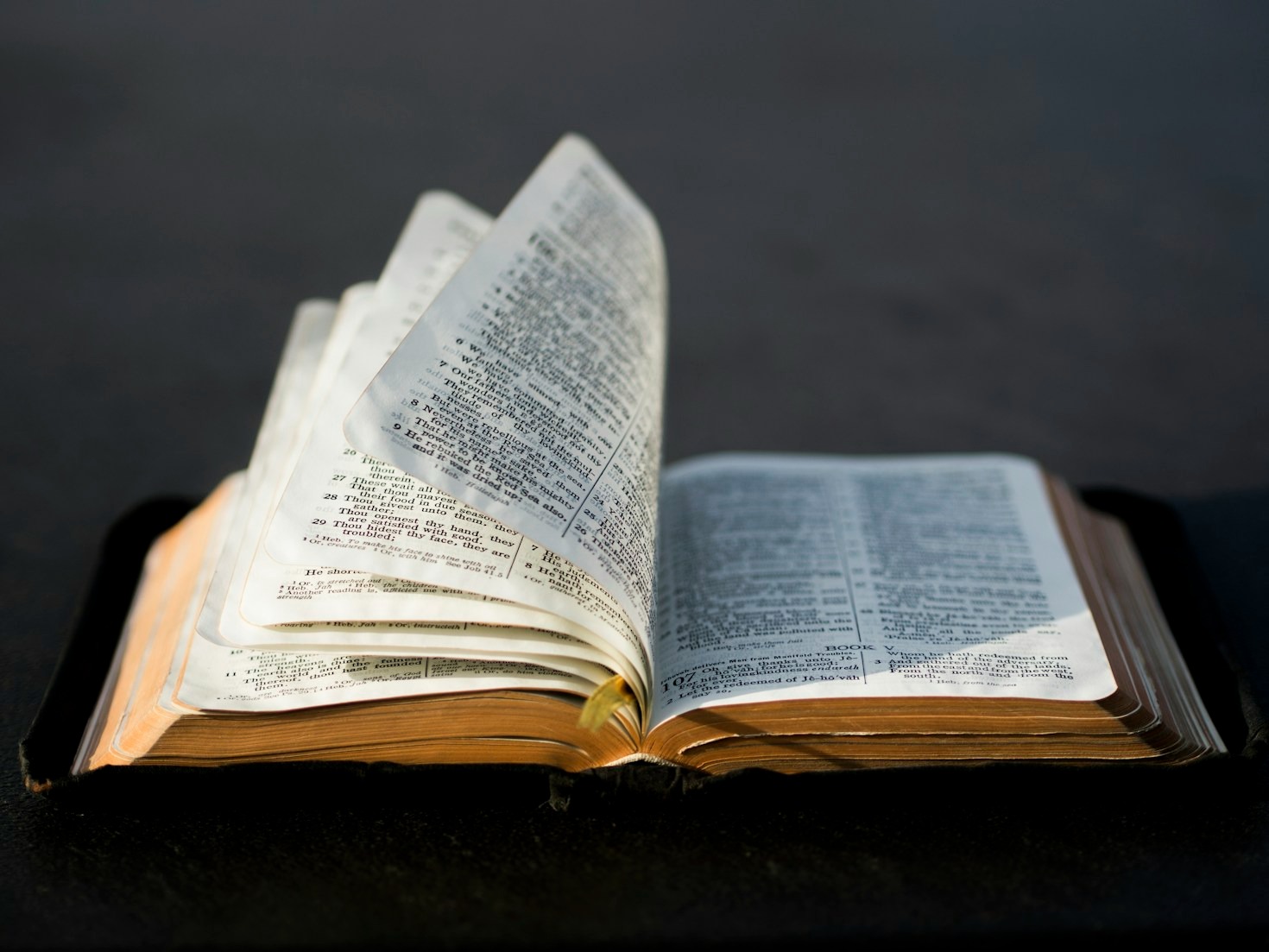 Scripture Reflections for a Stronger Faith Journey