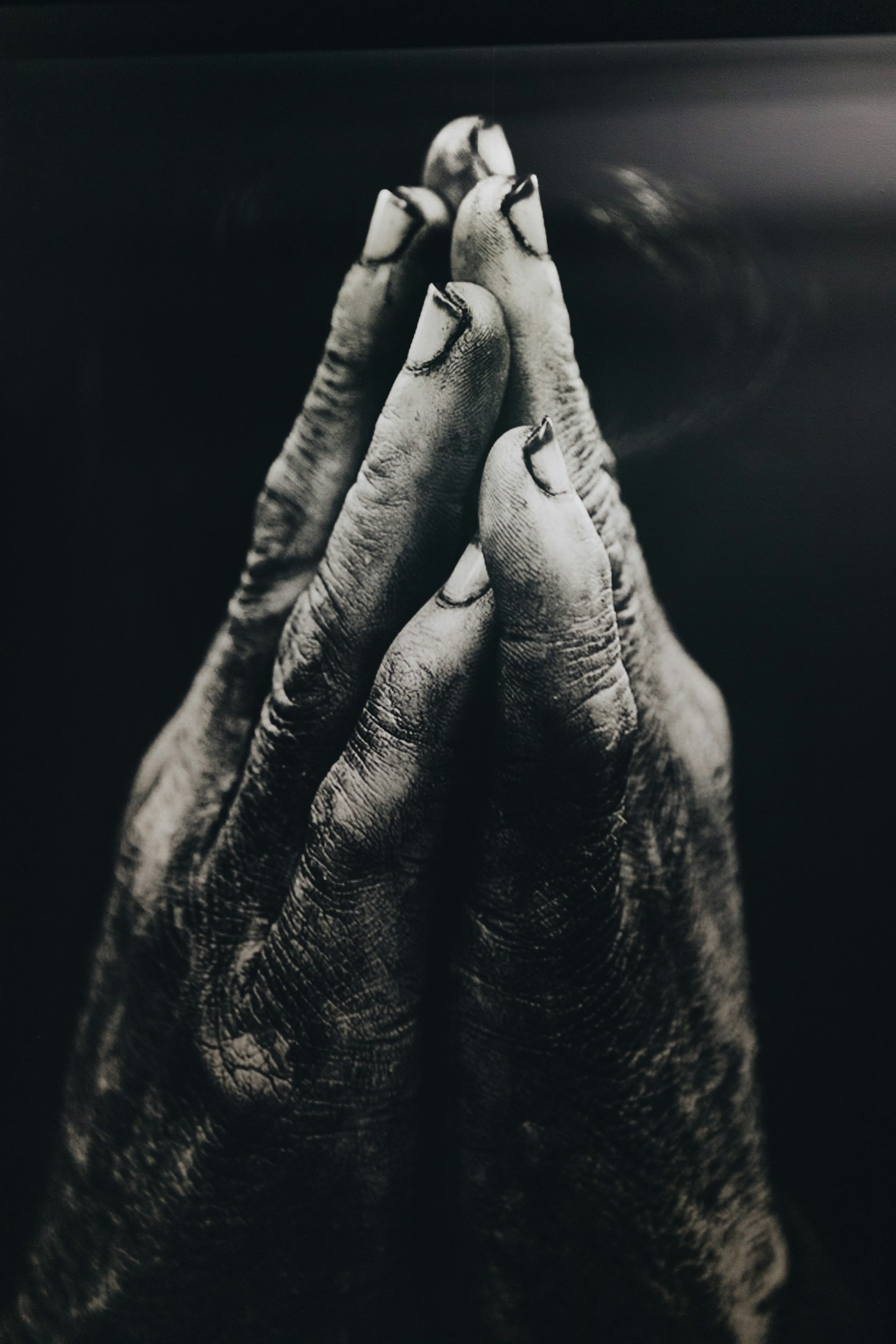 The Power of Faith: Insights from Biblical Texts